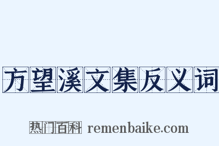 方望溪文集反义词是什么意思的图片